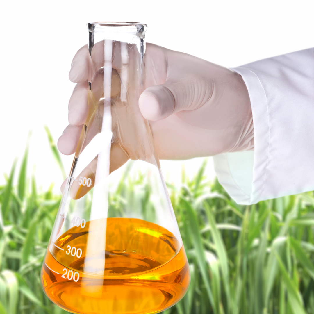 Empresas apoiadas pela ApexBrasil anunciam quase R$ 40 bi de investimentos em biocombustíveis